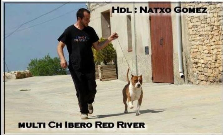 CH. ibero Red river