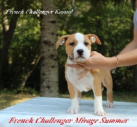 French Challenger Mirage Summer