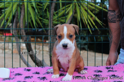 Femelle 3