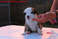 LUTHER KING 